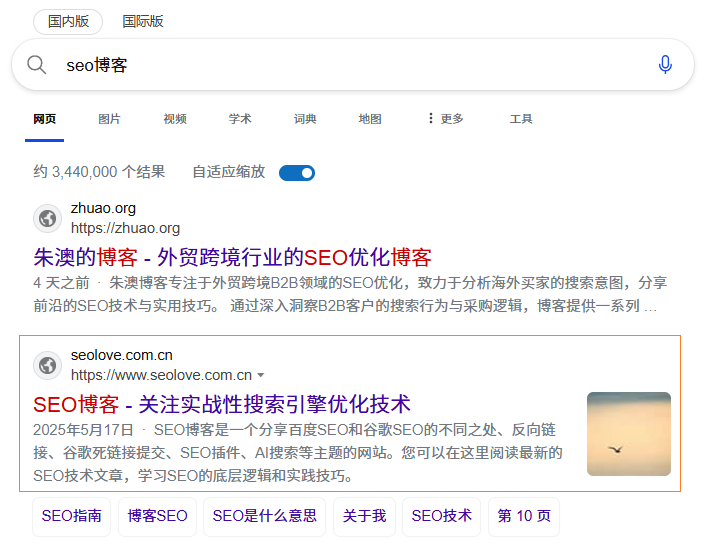 Display results of bing search SEO blog
